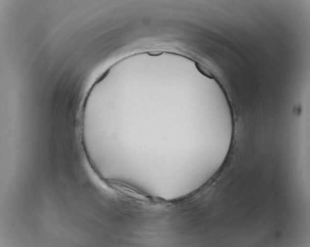 X0000112161528200909181435