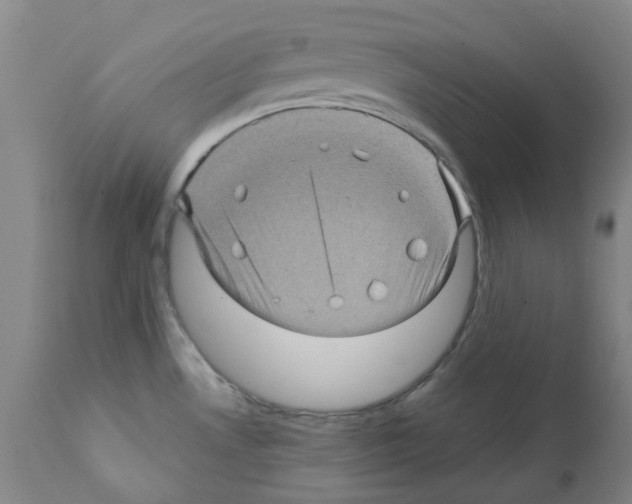 X0000112161530200909181435