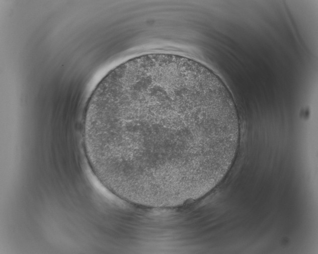 X0000112161531200909181435