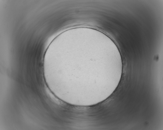 X0000112161532200909181435