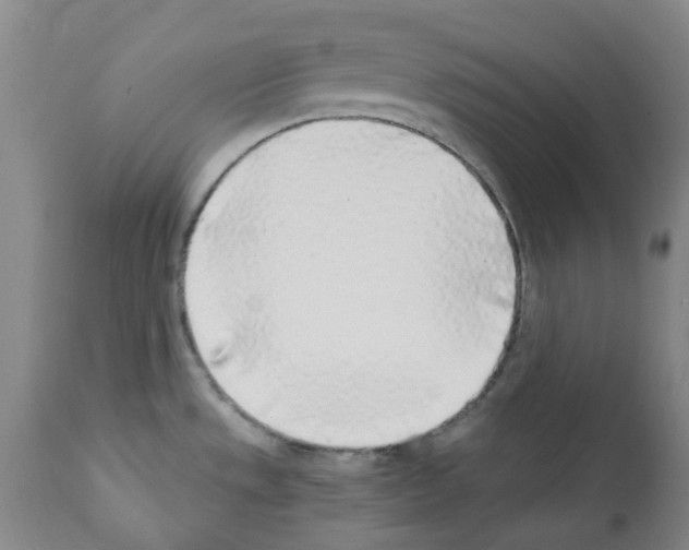 X0000112161533200909181435