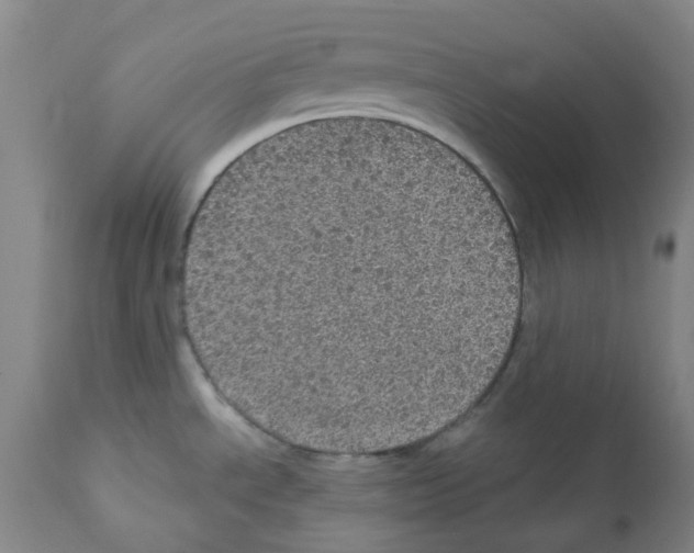 X0000112161534200909181435