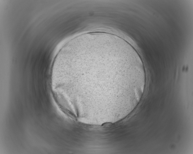 X0000112161536200909181435