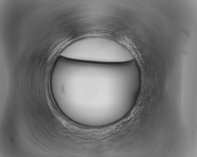 X0000112170001200908071009