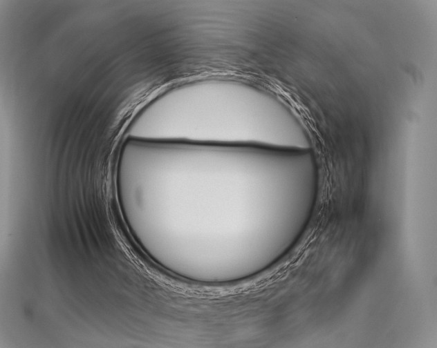 X0000112170002200908071009