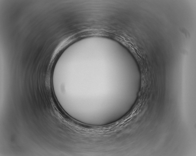 X0000112170004200908071009