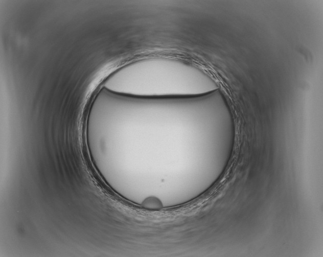 X0000112170006200908071009