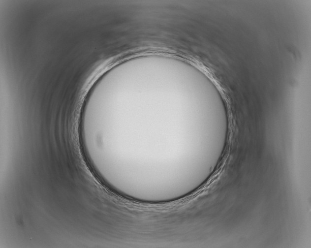 X0000112170007200908071009