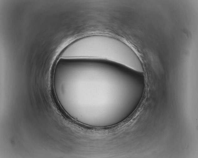 X0000112170008200908071009