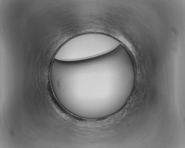 X0000112170009200908071009