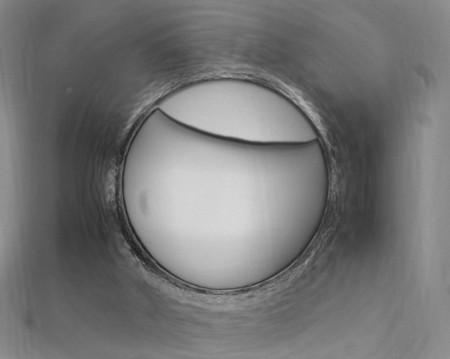 X0000112170010200908071009