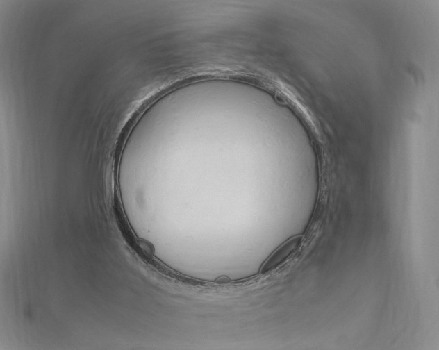 X0000112170011200908071009