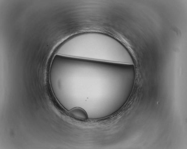 X0000112170012200908071009