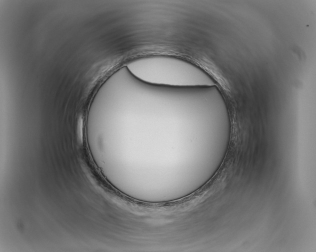 X0000112170014200908071009