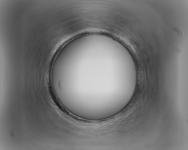 X0000112170015200908071009