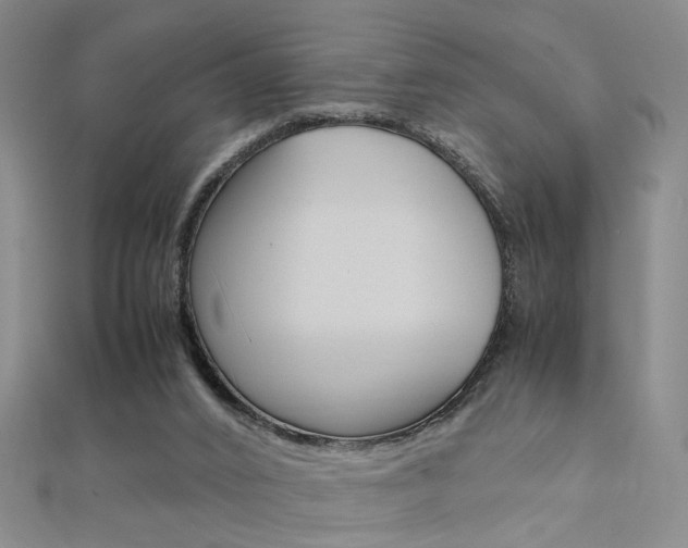 X0000112170016200908071009