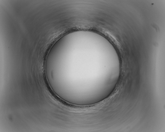 X0000112170017200908071009