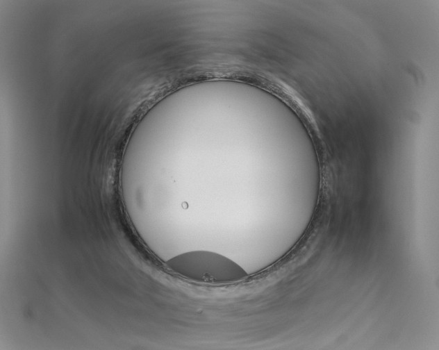 X0000112170018200908071009