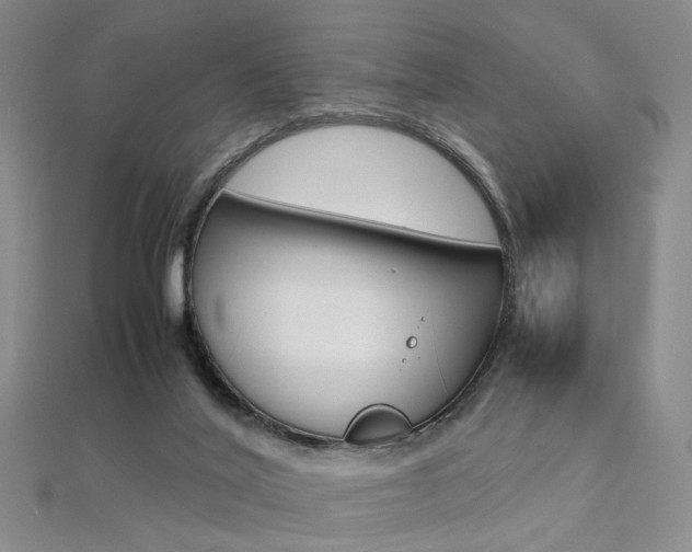 X0000112170020200908071009