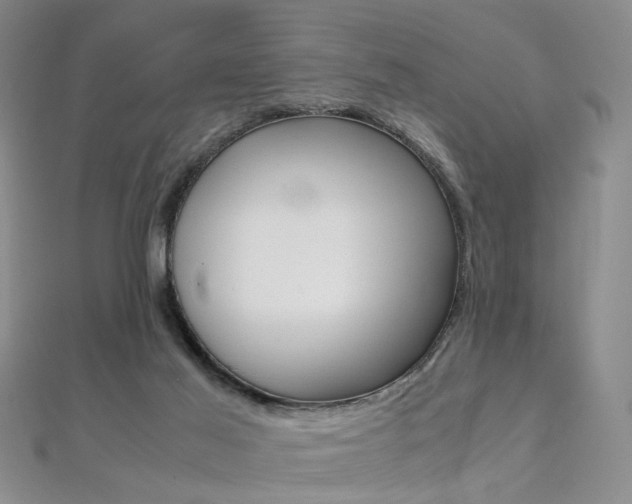 X0000112170021200908071009