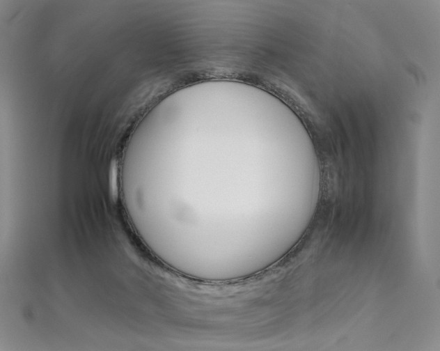 X0000112170022200908071009