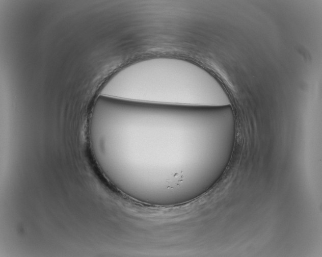 X0000112170023200908071009