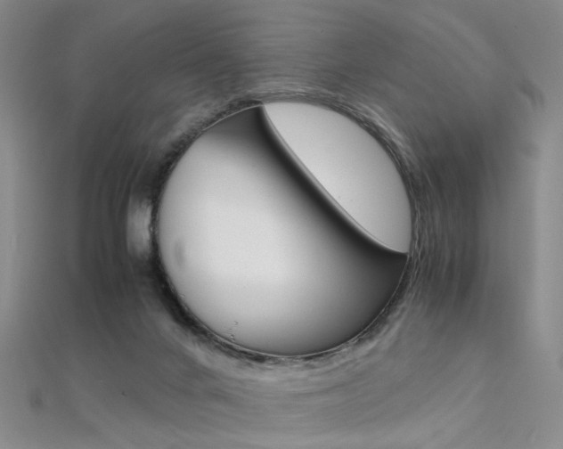 X0000112170024200908071009