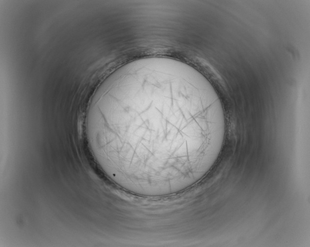 X0000112170026200908071009