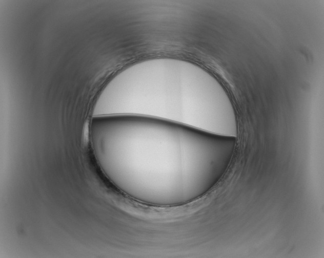 X0000112170027200908071008