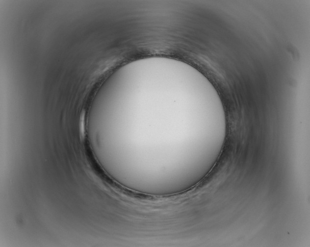 X0000112170028200908071008