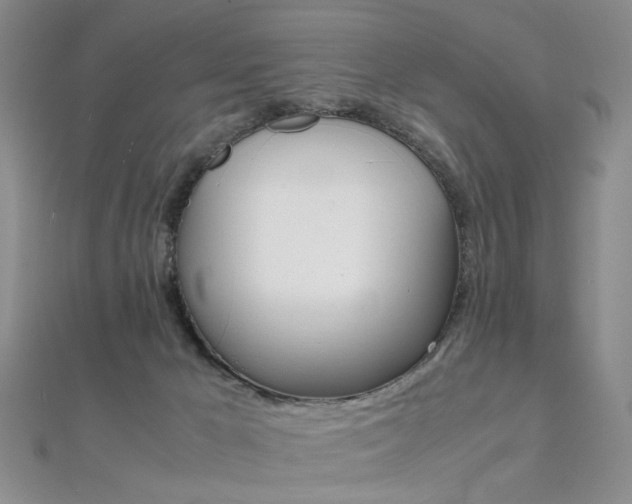 X0000112170029200908071008