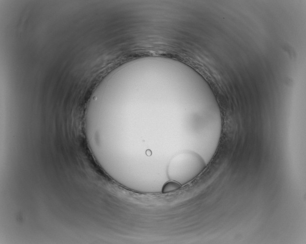 X0000112170030200908071008