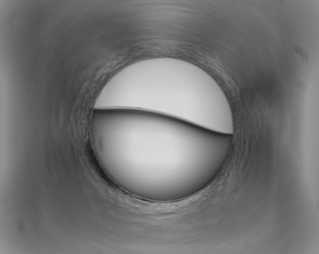 X0000112170031200908071008