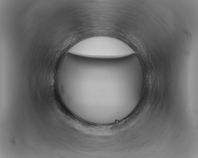 X0000112170032200908071008