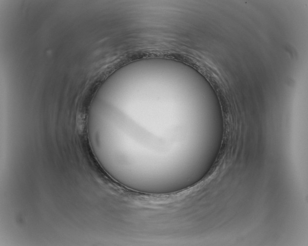 X0000112170033200908071008