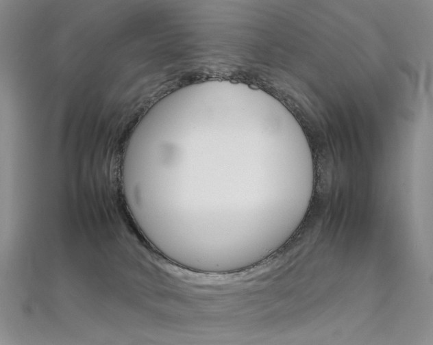 X0000112170034200908071008