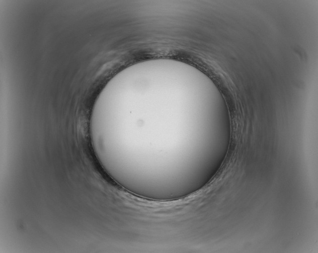 X0000112170035200908071008