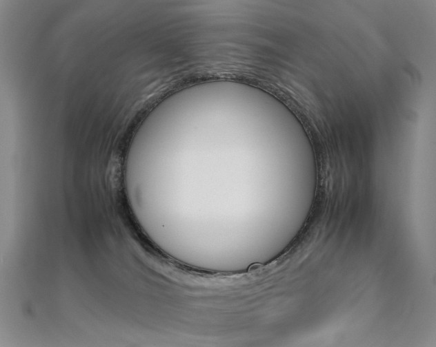 X0000112170036200908071008