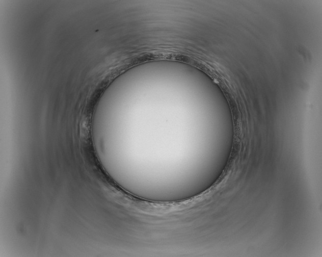 X0000112170037200908071008