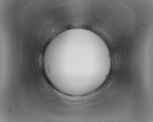 X0000112170038200908071008