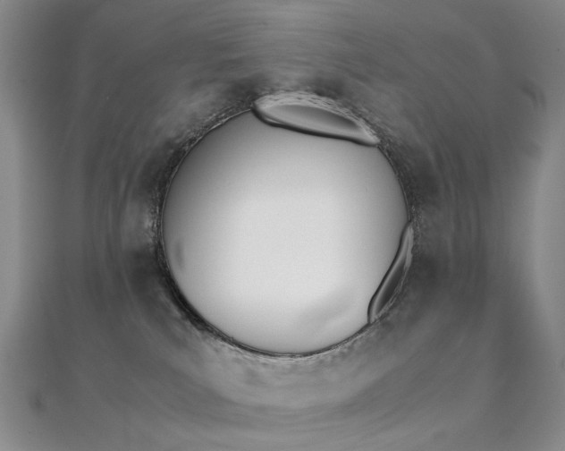 X0000112170039200908071008