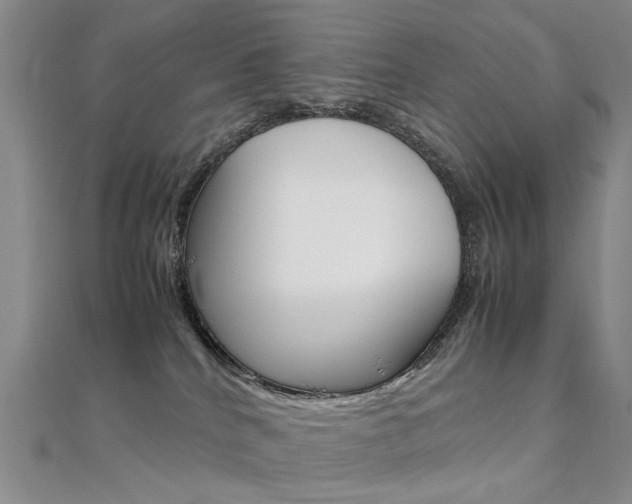 X0000112170040200908071008