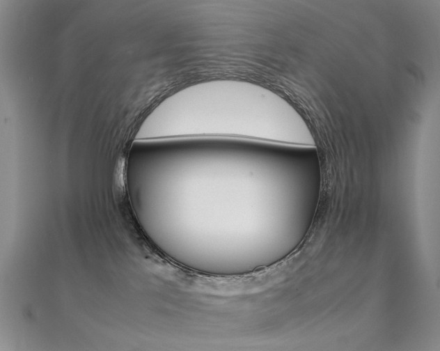 X0000112170041200908071008