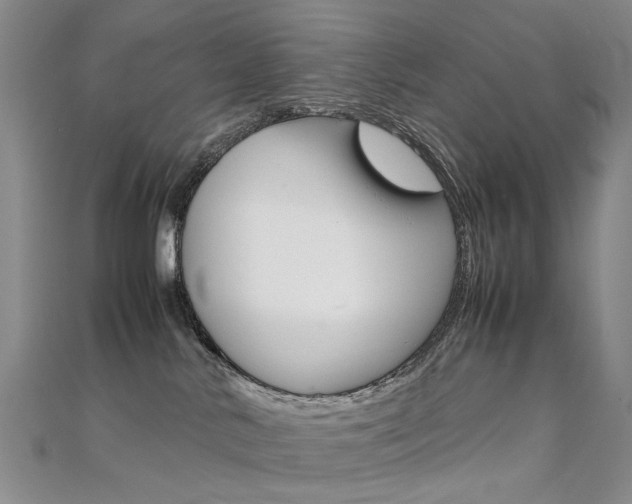 X0000112170042200908071008