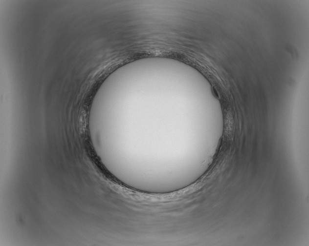 X0000112170043200908071008