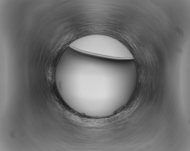 X0000112170044200908071008