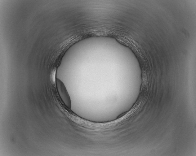 X0000112170047200908071008