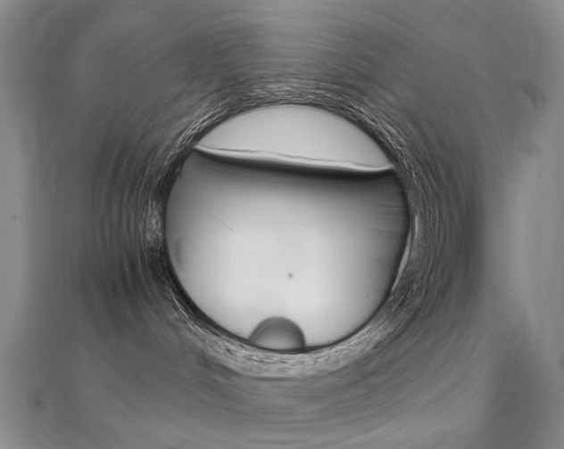 X0000112170048200908071008