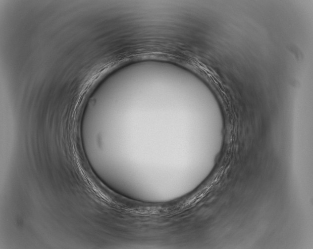 X0000112170049200908071008