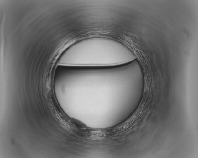 X0000112170050200908071008